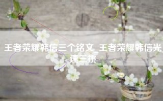 王者荣耀韩信三个铭文_王者荣耀韩信光速三挑