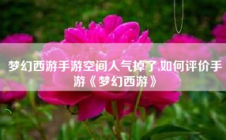梦幻西游手游空间人气掉了,如何评价手游《梦幻西游》