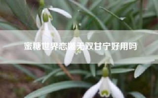 蜜糖世界恋姬无双甘宁好用吗