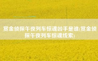 赏金侦探午夜列车惊魂凶手是谁(赏金侦探午夜列车惊魂线索)