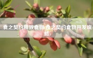 食之契约精致食物(食之契约食物开发攻略)