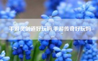手游灵剑道好玩吗,手游传奇好玩吗