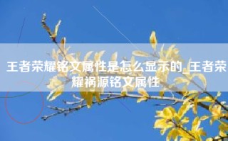 王者荣耀铭文属性是怎么显示的_王者荣耀祸源铭文属性