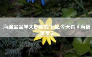 海绵宝宝学大厨游戏下载,今天看《海绵宝宝》