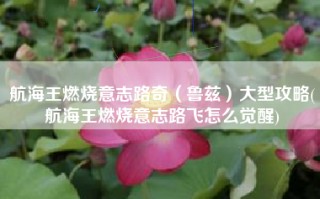 航海王燃烧意志路奇（鲁兹）大型攻略(航海王燃烧意志路飞怎么觉醒)