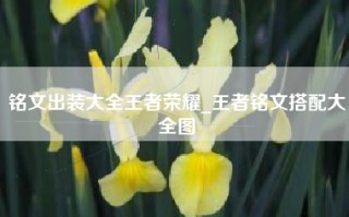 铭文出装大全王者荣耀_王者铭文搭配大全图