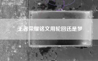 王者荣耀铭文用轮回还是梦