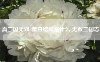 真三国无双8董白结局是什么(无双三国志)