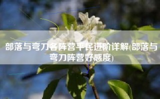 部落与弯刀各阵营平民进阶详解(部落与弯刀阵营好感度)