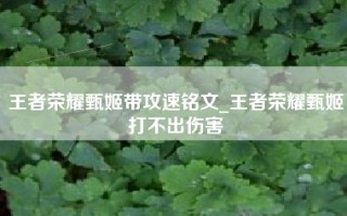 王者荣耀甄姬带攻速铭文_王者荣耀甄姬打不出伤害
