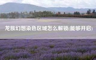 龙族幻想染色区域怎么解锁(能够开启)