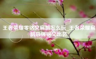 王者荣耀零铭文扁鹊怎么玩_王者荣耀扁鹊最强铭文出装