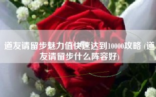 道友请留步魅力值快速达到10000攻略 (道友请留步什么阵容好)