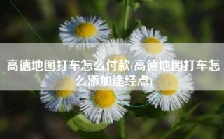 高德地图打车怎么付款(高德地图打车怎么添加途经点)