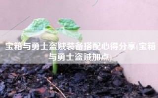 宝箱与勇士盗贼装备搭配心得分享(宝箱与勇士盗贼加点)
