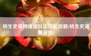 转生史莱姆推图队伍搭配攻略(转生史莱姆官图)