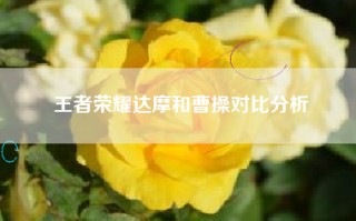 王者荣耀达摩和曹操对比分析