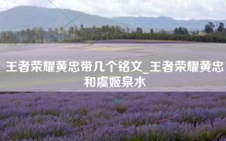 王者荣耀黄忠带几个铭文_王者荣耀黄忠和虞姬泉水