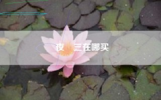 夜廻三在哪买