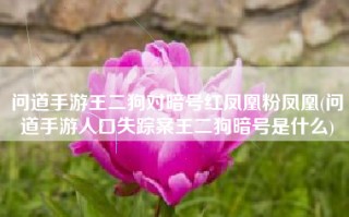 问道手游王二狗对暗号红凤凰粉凤凰(问道手游人口失踪案王二狗暗号是什么)