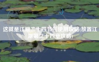 这就是江湖二十四节气使用攻略(放置江湖第二十四章攻略)