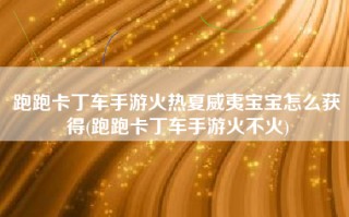 跑跑卡丁车手游火热夏威夷宝宝怎么获得(跑跑卡丁车手游火不火)