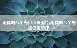 雨林的八个先祖位置图片(雨林的八个先祖位置动作)