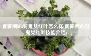阴阳师心狩鬼女红叶怎么样(阴阳师心狩鬼女红叶技能介绍)