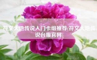符文大地传说入门卡组推荐(符文大地传说台服官网)
