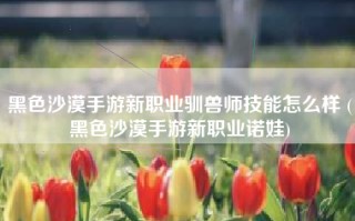 黑色沙漠手游新职业驯兽师技能怎么样 (黑色沙漠手游新职业诺娃)