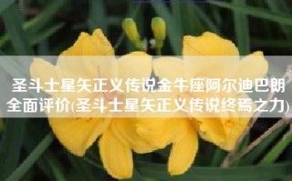 圣斗士星矢正义传说金牛座阿尔迪巴朗全面评价(圣斗士星矢正义传说终焉之力)