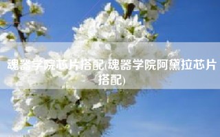 魂器学院芯片搭配(魂器学院阿黛拉芯片搭配)