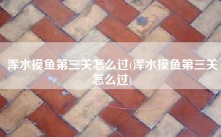 浑水摸鱼第三关怎么过(浑水摸鱼第三关怎么过)