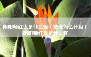 阴阳师红鬼是什么怪（技能怎么升级）(阴阳师红鬼是什么怪)