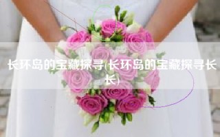 长环岛的宝藏探寻(长环岛的宝藏探寻长长)