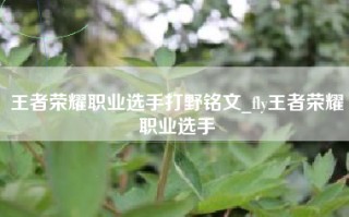 王者荣耀职业选手打野铭文_fly王者荣耀职业选手