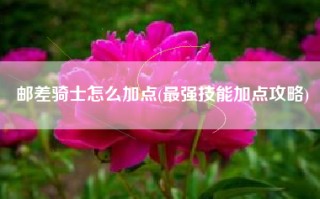 邮差骑士怎么加点(最强技能加点攻略)