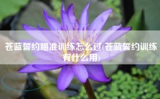 苍蓝誓约瞄准训练怎么过(苍蓝誓约训练有什么用)