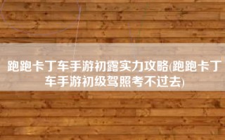 跑跑卡丁车手游初露实力攻略(跑跑卡丁车手游初级驾照考不过去)