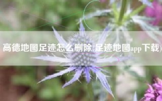 高德地图足迹怎么删除(足迹地图app下载)