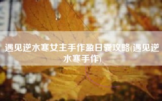 遇见逆水寒女主手作盈日囊攻略(遇见逆水寒手作)
