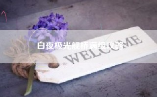 白夜极光舰桥满级攻略