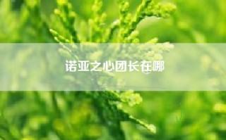 诺亚之心团长在哪