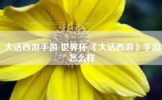 大话西游手游 世界杯,《大话西游》手游怎么样