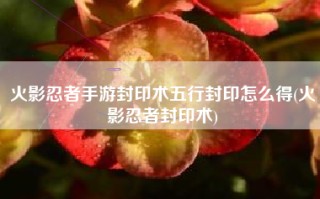 火影忍者手游封印术五行封印怎么得(火影忍者封印术)