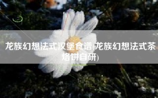 龙族幻想法式汉堡食谱(龙族幻想法式茶烙饼自研)