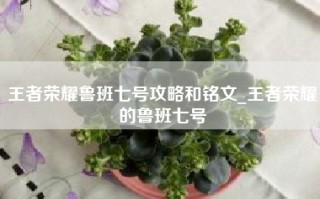 王者荣耀鲁班七号攻略和铭文_王者荣耀的鲁班七号