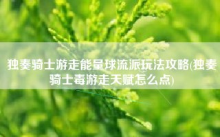 独奏骑士游走能量球流派玩法攻略(独奏骑士毒游走天赋怎么点)