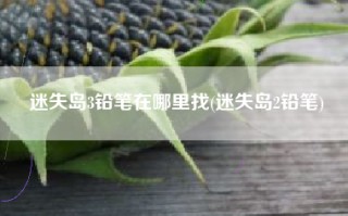 迷失岛3铅笔在哪里找(迷失岛2铅笔)