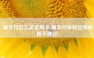 翼支付怎么还信用卡(翼支付审核信用审核不通过)